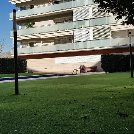 Apartment Blue Tree